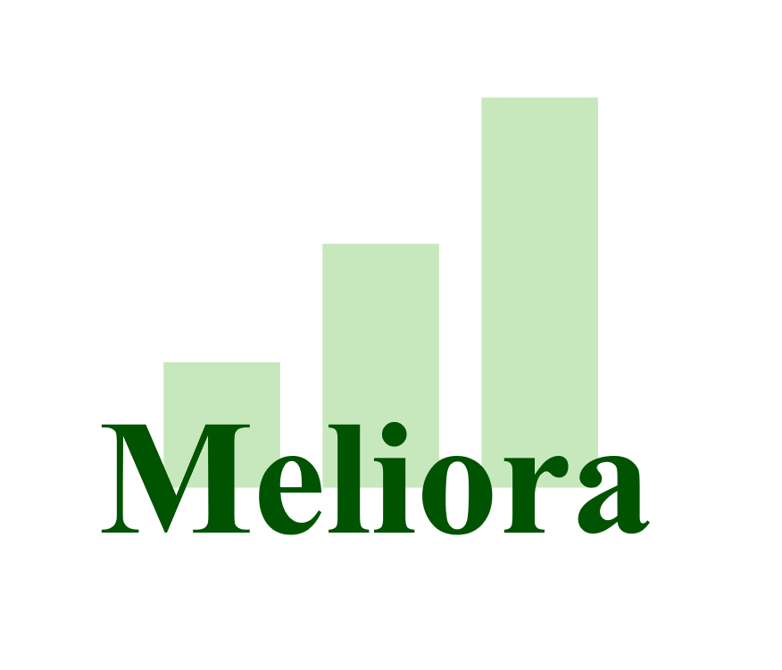 Meliora - Management Consulting